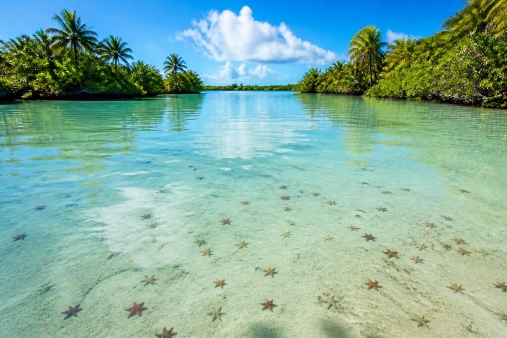 découvrez la lagune el cielo, un site naturel exceptionnel où vous pourrez observer des étoiles de mer uniques dans un cadre paradisiaque.
