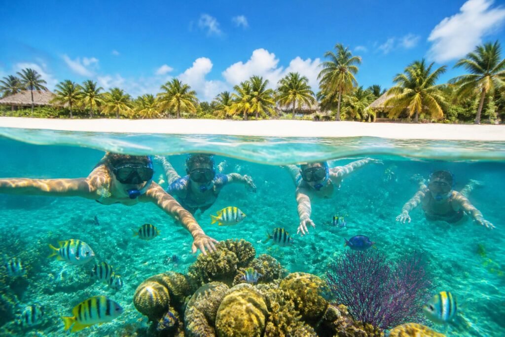 partez pour une aventure inoubliable avec notre tour de snorkeling à cozumel depuis playa del carmen. explorez les fonds marins cristallins et la riche vie marine lors d'une excursion guidée unique.