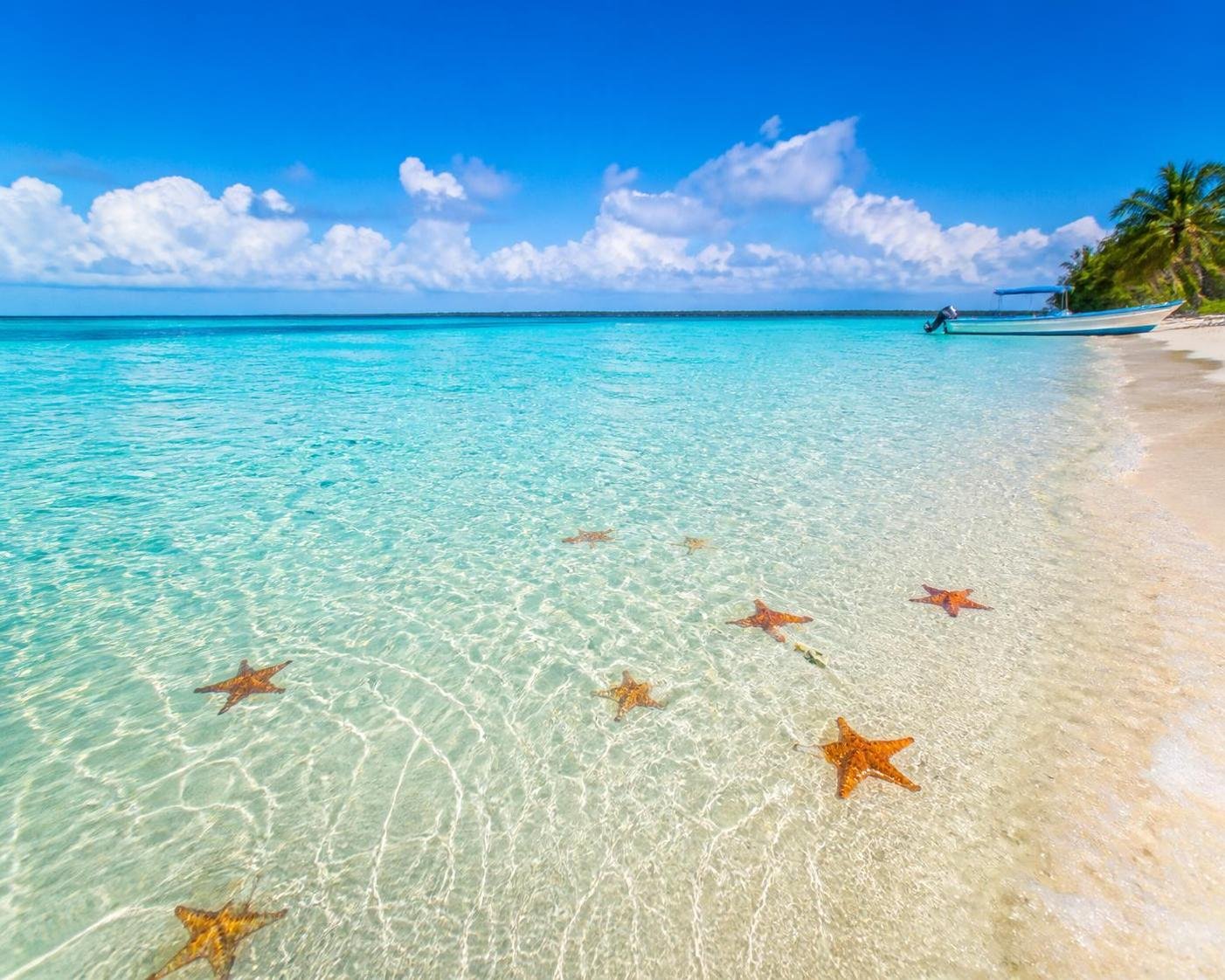 découvrez l'excursion el cielo à cozumel, un véritable paradis naturel où eaux cristallines et plages de sable blanc vous attendent pour une expérience inoubliable.