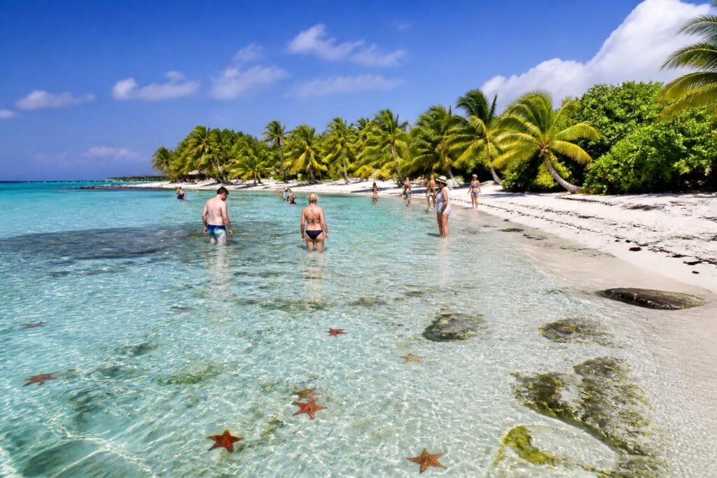 découvrez l'excursion el cielo à cozumel, un paradis naturel réputé pour ses eaux cristallines, ses plages de sable blanc et une biodiversité marine exceptionnelle. une expérience inoubliable à ne pas manquer lors de votre visite au mexique.