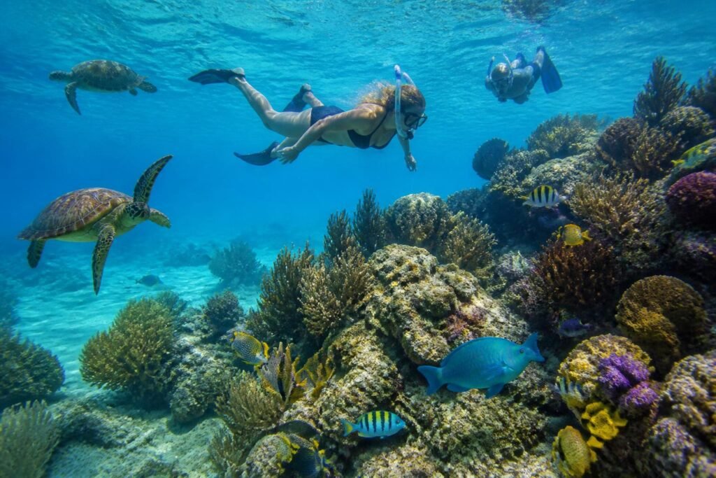 explorez le récif palancar en snorkeling et découvrez un paradis sous-marin aux eaux cristallines, riche en coraux colorés et en vie marine spectaculaire.