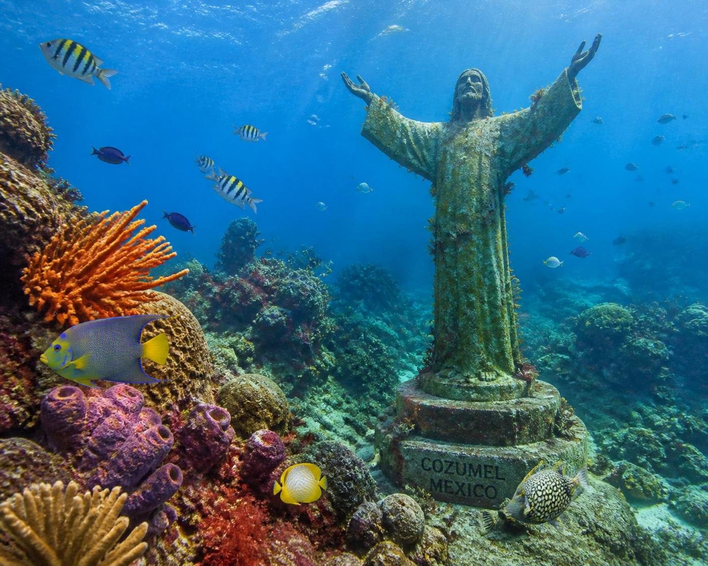 Entdecken Sie die Aktivitäten, die Sie in Cozumel unbedingt erleben sollten: paradiesische Strände, Tauchgänge, Naturerlebnisse und vieles mehr für einen unvergesslichen Aufenthalt.