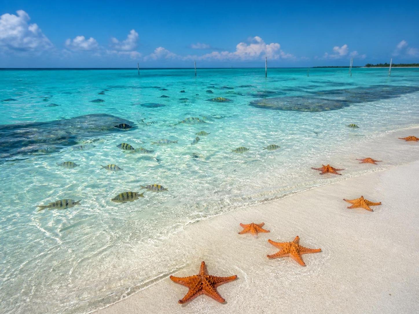 découvrez les activités incontournables à el cielo cozumel : plages paradisiaques, snorkeling, excursions et bien plus pour un séjour inoubliable.