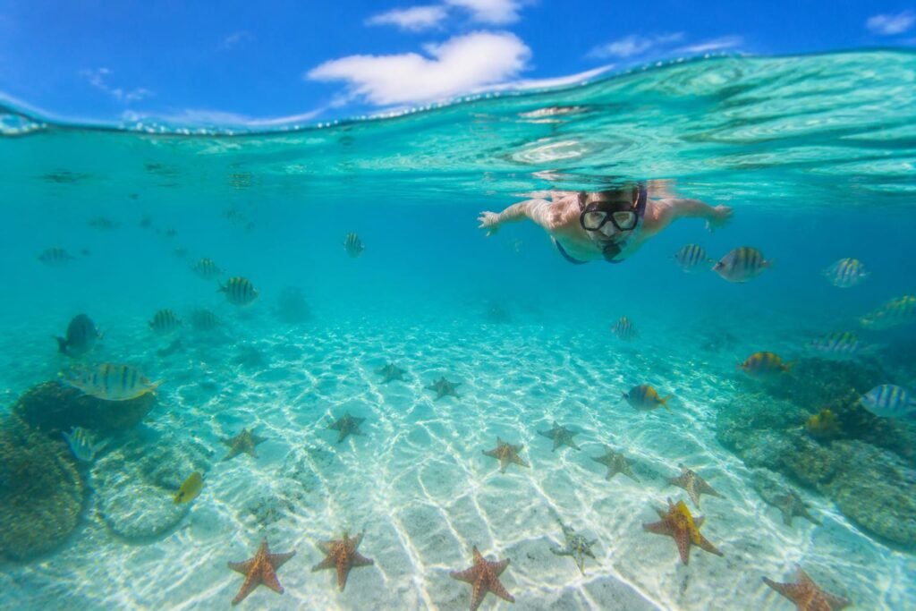 plongez dans les eaux cristallines d'el cielo cozumel et explorez un paradis sous-marin unique en faisant du snorkeling. découvrez une faune marine exceptionnelle et des paysages subaquatiques à couper le souffle.