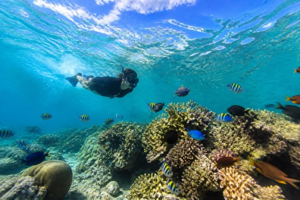 explorez le récif colombia à cozumel en snorkeling et découvrez un véritable paradis sous-marin avec ses eaux cristallines, sa faune marine colorée et ses paysages époustouflants.