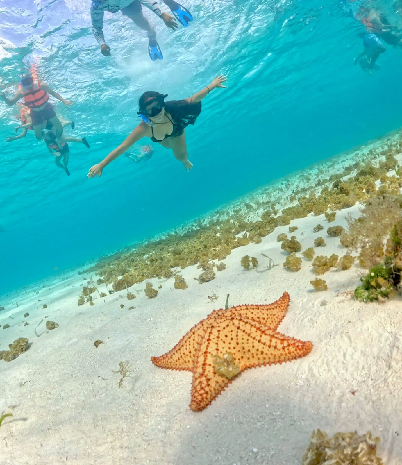 Étoile de mer à El Cielo Cozumel — lagune aux eaux cristallines