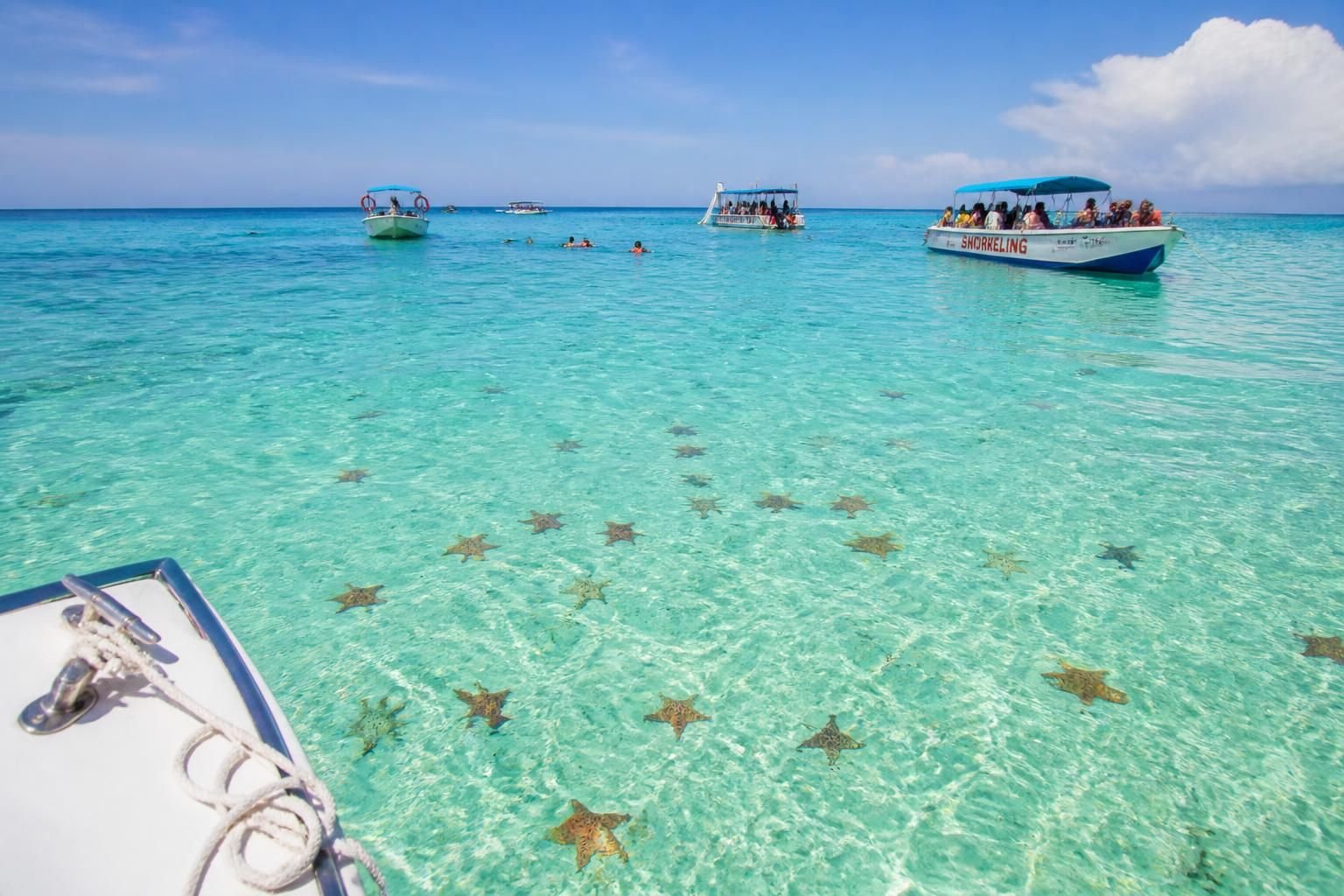 découvrez notre avis complet sur la tour el cielo à cozumel, une attraction incontournable. explorez ses points forts, conseils et tout ce qu'il faut savoir pour profiter pleinement de cette expérience unique.