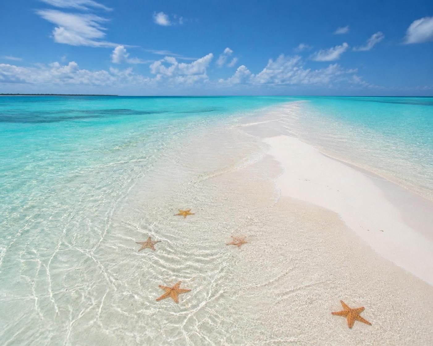 Explore the El Cielo sandbank, a true natural paradise with unspoiled beaches, ideal for relaxation, diving and observing marine wildlife.
