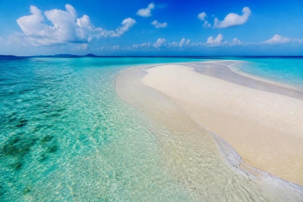 découvrez le banc de sable el cielo, un véritable paradis aux plages préservées où la nature sauvage et les eaux cristallines vous invitent à la détente et à l'évasion.