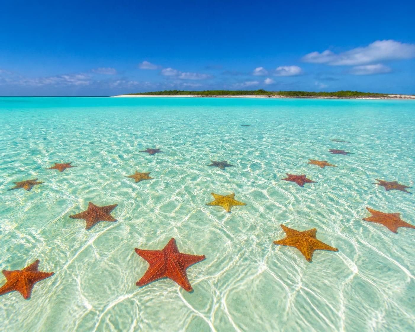 Udforsk El Cielo Cozumel og beundr dens unikke søstjerner i enestående natur.