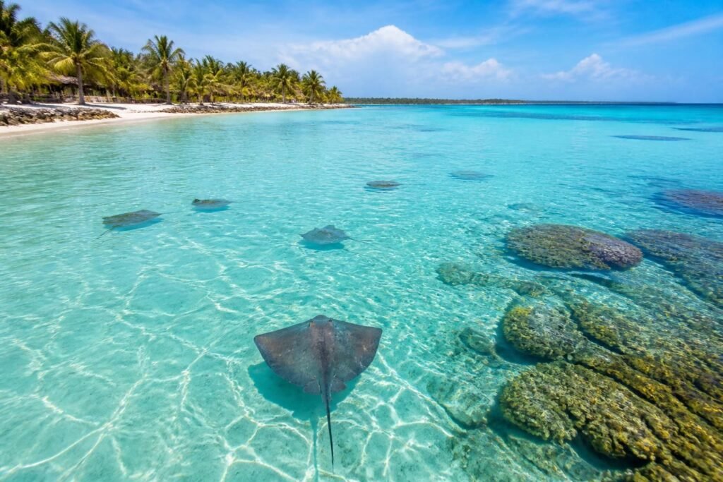 découvrez l’eau turquoise d’el cielo cozumel, un véritable paradis naturel où la beauté des plages et la richesse marine vous invitent à une aventure inoubliable.