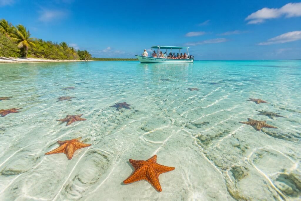 découvrez l’excursion el cielo à cozumel et vivez une aventure inoubliable entre plages paradisiaques, eaux cristallines et rencontres marines exceptionnelles.