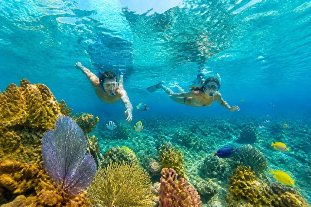 partez en excursion snorkeling à cozumel et découvrez un monde sous-marin spectaculaire. vivez une aventure inoubliable au cœur des récifs coralliens et rencontrez une faune marine exceptionnelle.