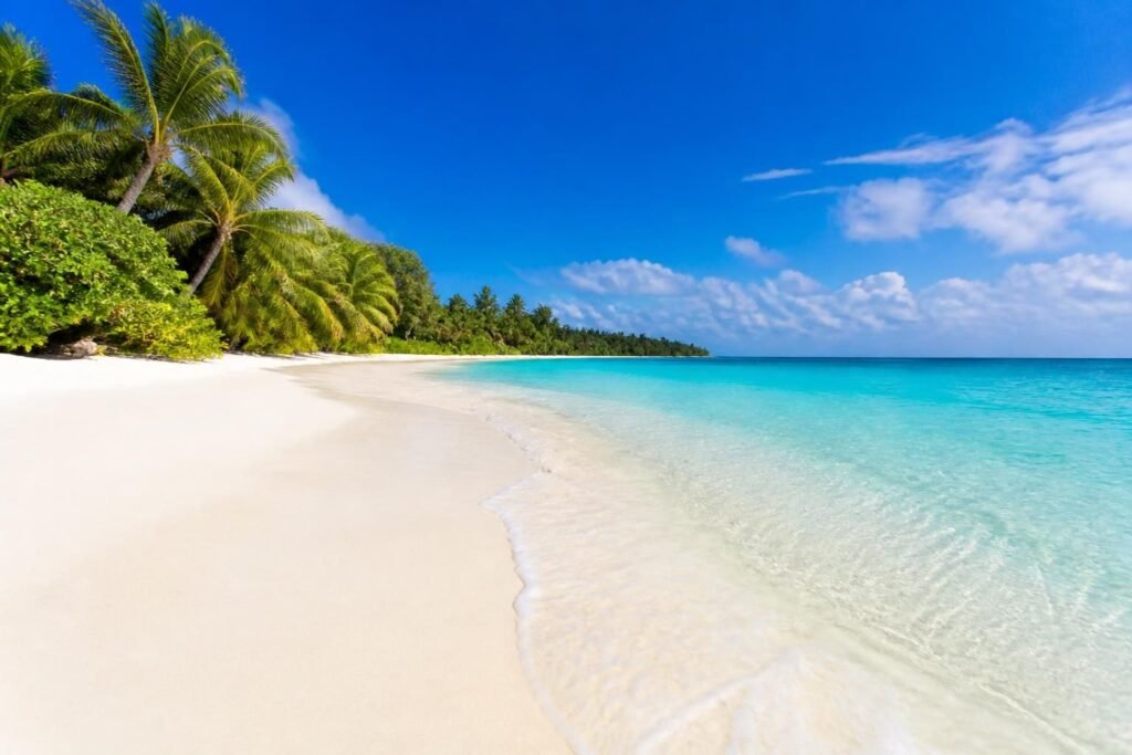 découvrez la plus belle plage de cozumel, un véritable paradis mexicain au sable fin, eau turquoise et nature préservée pour des vacances inoubliables.