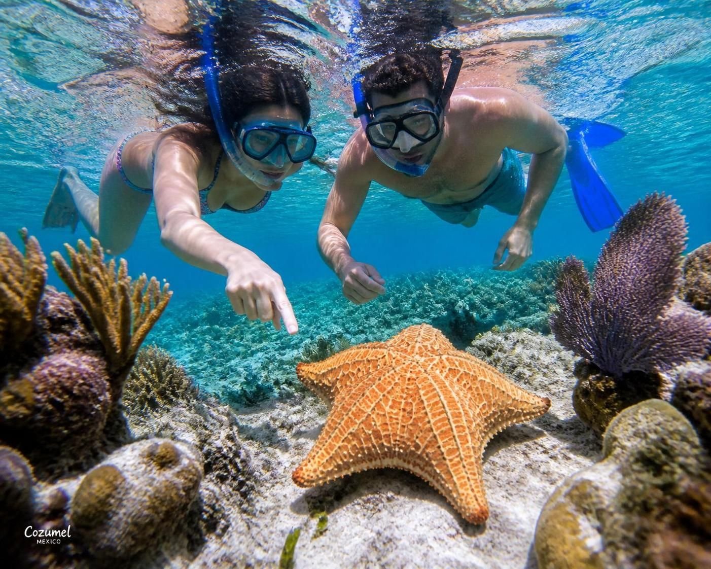 Исследуйте подводные чудеса Мексики, занимаясь сноркелингом среди морских звезд. Погрузитесь в захватывающий и красочный мир, идеально подходящий для любителей природы и приключений.