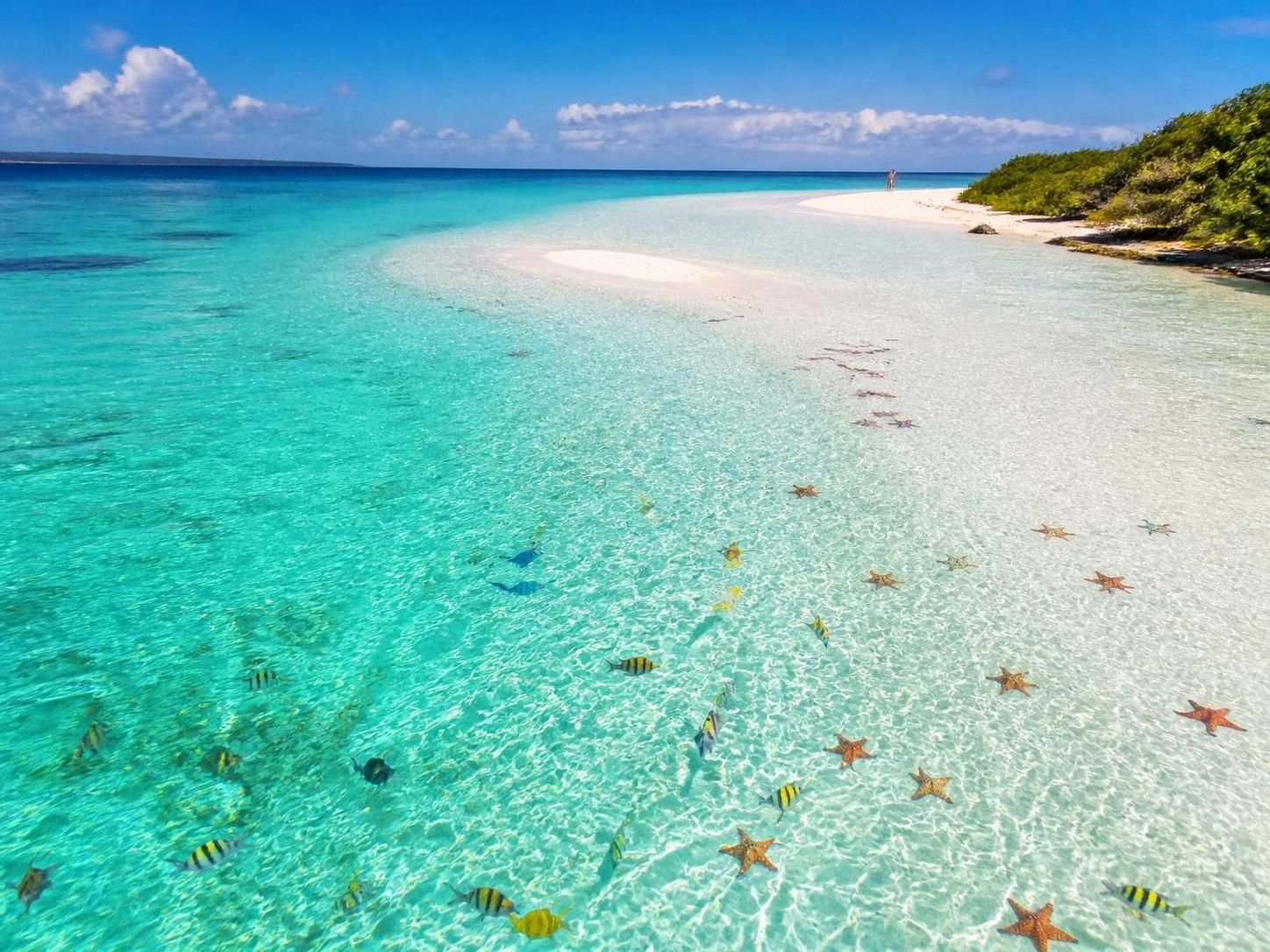 Oplev El Cielo eller Akumal, et ideelt paradis for 2026. Drømmestrande, uspoleret natur og uforglemmelige oplevelser venter dig.