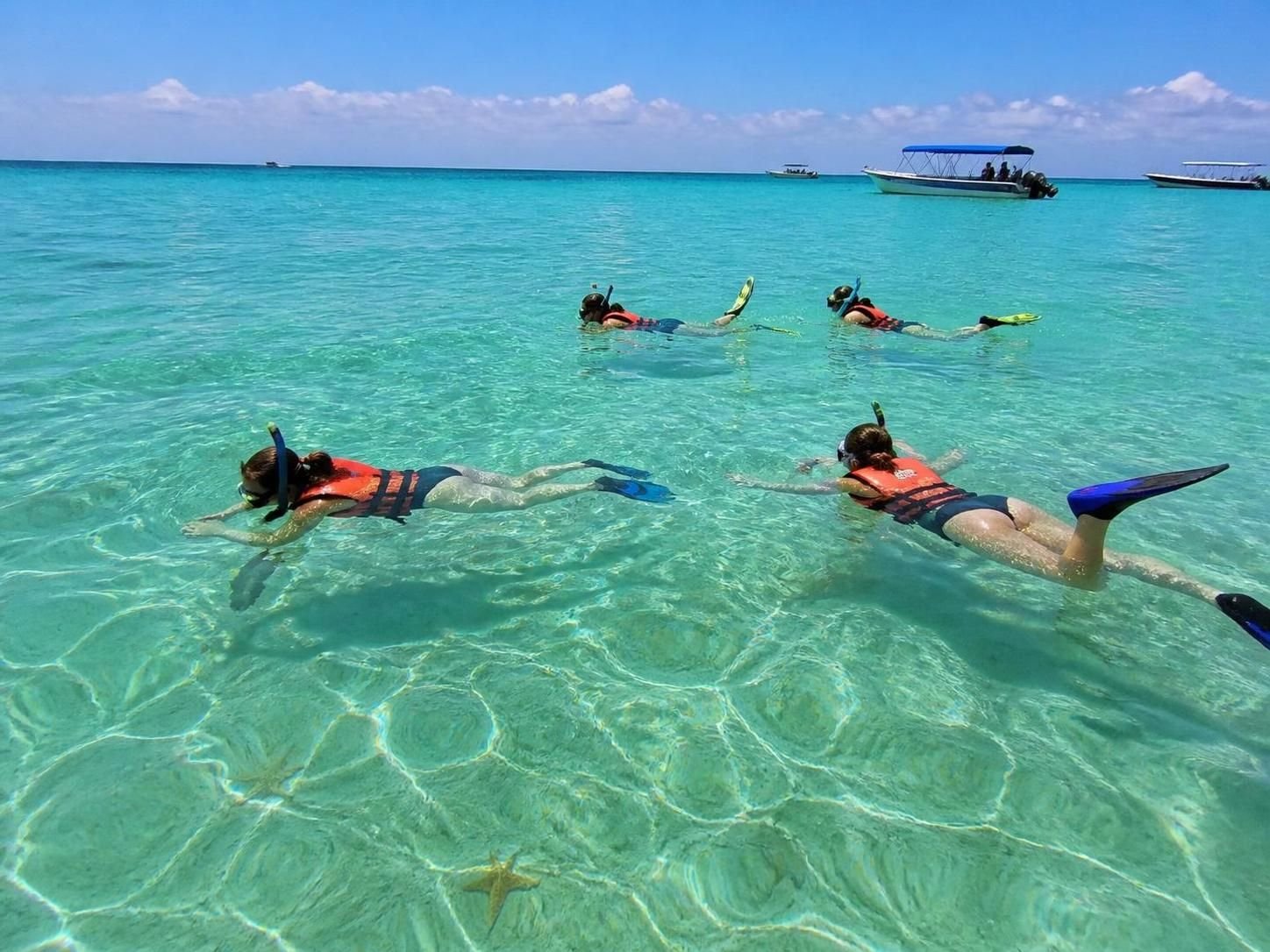 Oplev Cozumel på en anderledes måde med vores direkte tur, for en autentisk og eksklusiv oplevelse langt fra traditionelle turistruter.
