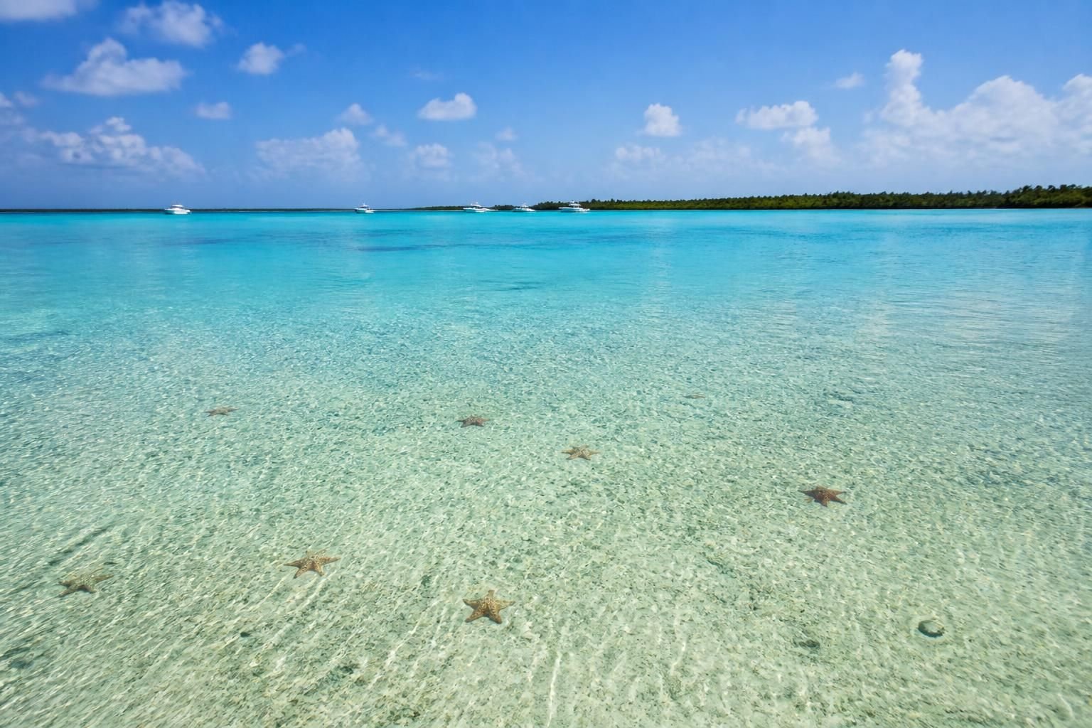 Discover everything you need to know about entrance fees to El Cielo Cozumel to fully enjoy this unique natural paradise.