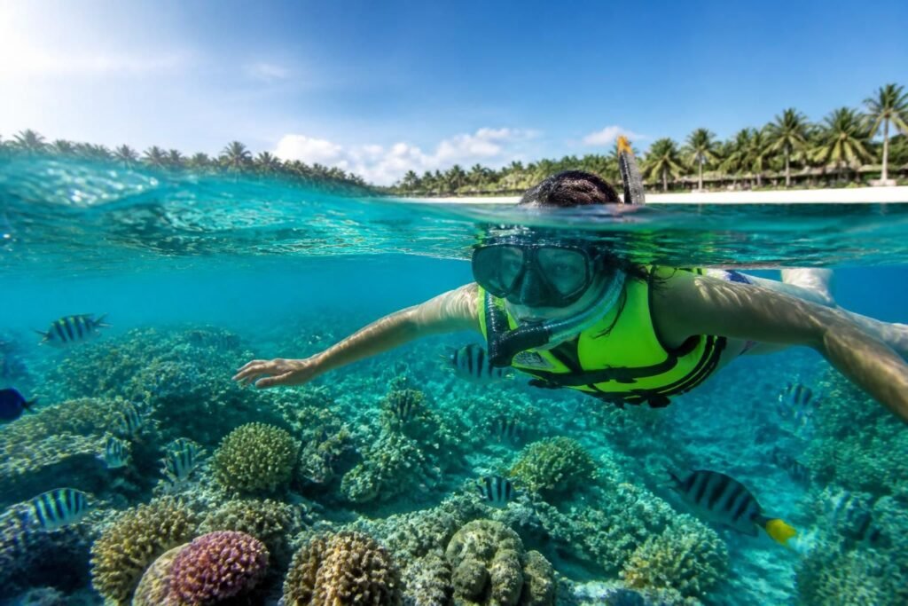 découvrez le guide complet du permis snorkeling el cielo pour plonger en toute sécurité et profiter pleinement des merveilles sous-marines.