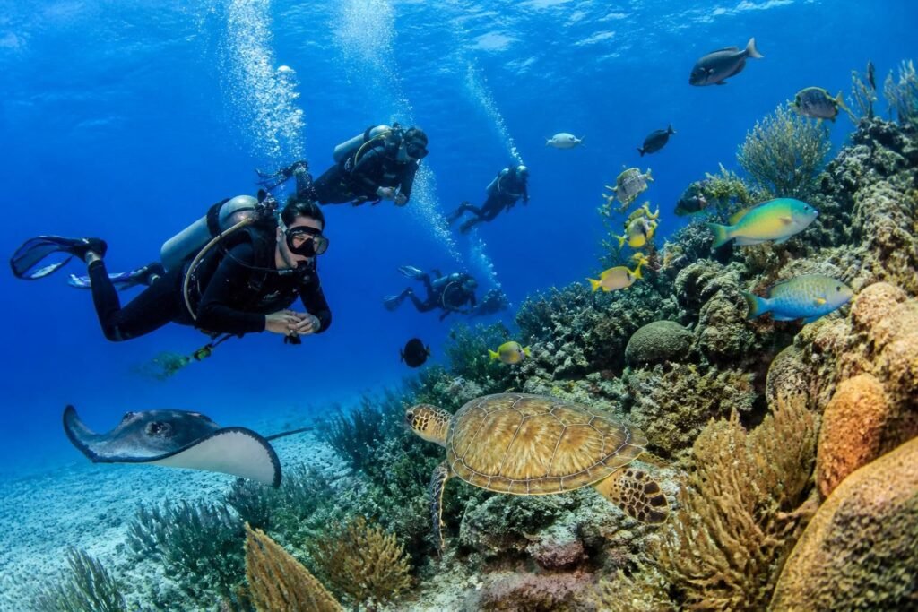 obtenez votre certification de plongée à cozumel et explorez les magnifiques fonds marins en toute sécurité avec des instructeurs professionnels.