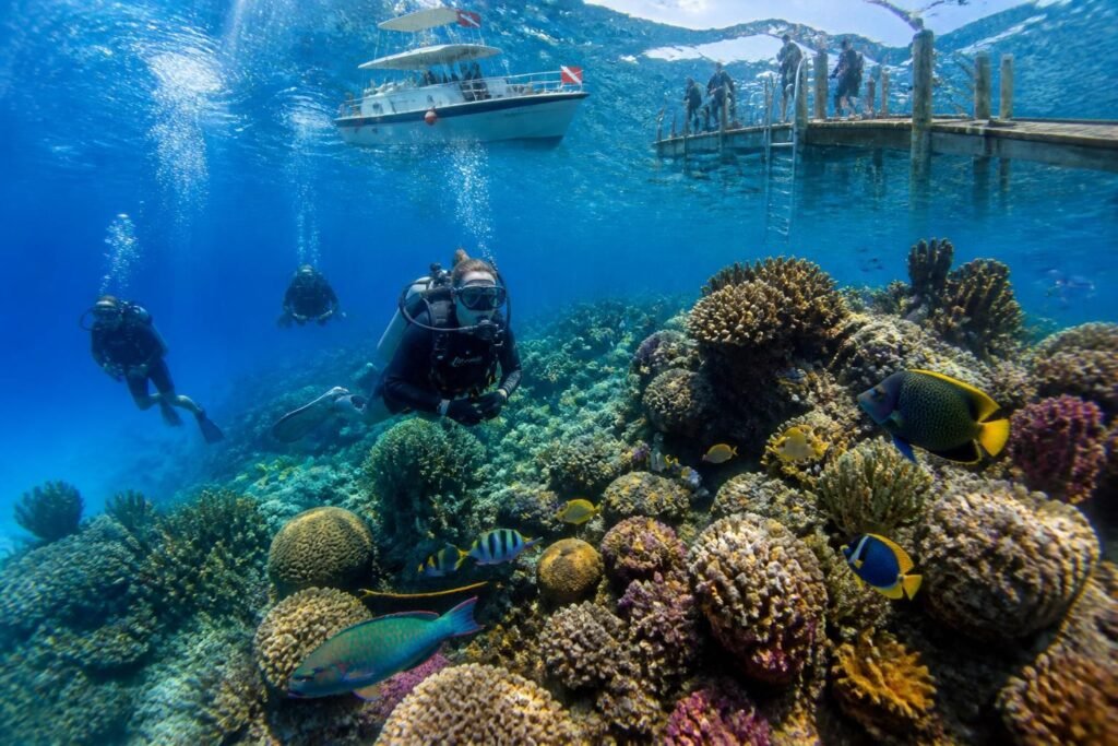 plongez dans l'aventure avec le centre de plongée cozumel et explorez des paysages sous-marins spectaculaires pour une expérience inoubliable.