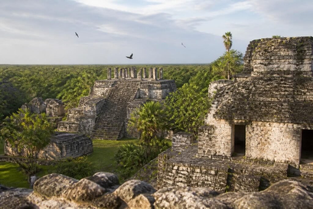 plongez dans l'histoire ancienne avec san gervasio, un site archéologique majeur qui révèle les mystères et la grandeur de la civilisation maya.