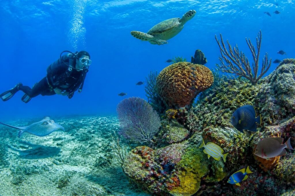 découvrez la plongée sous-marine à cozumel et explorez des fonds marins exceptionnels pleins de vie et de beauté tropicale. une aventure inoubliable vous attend sous les eaux cristallines.