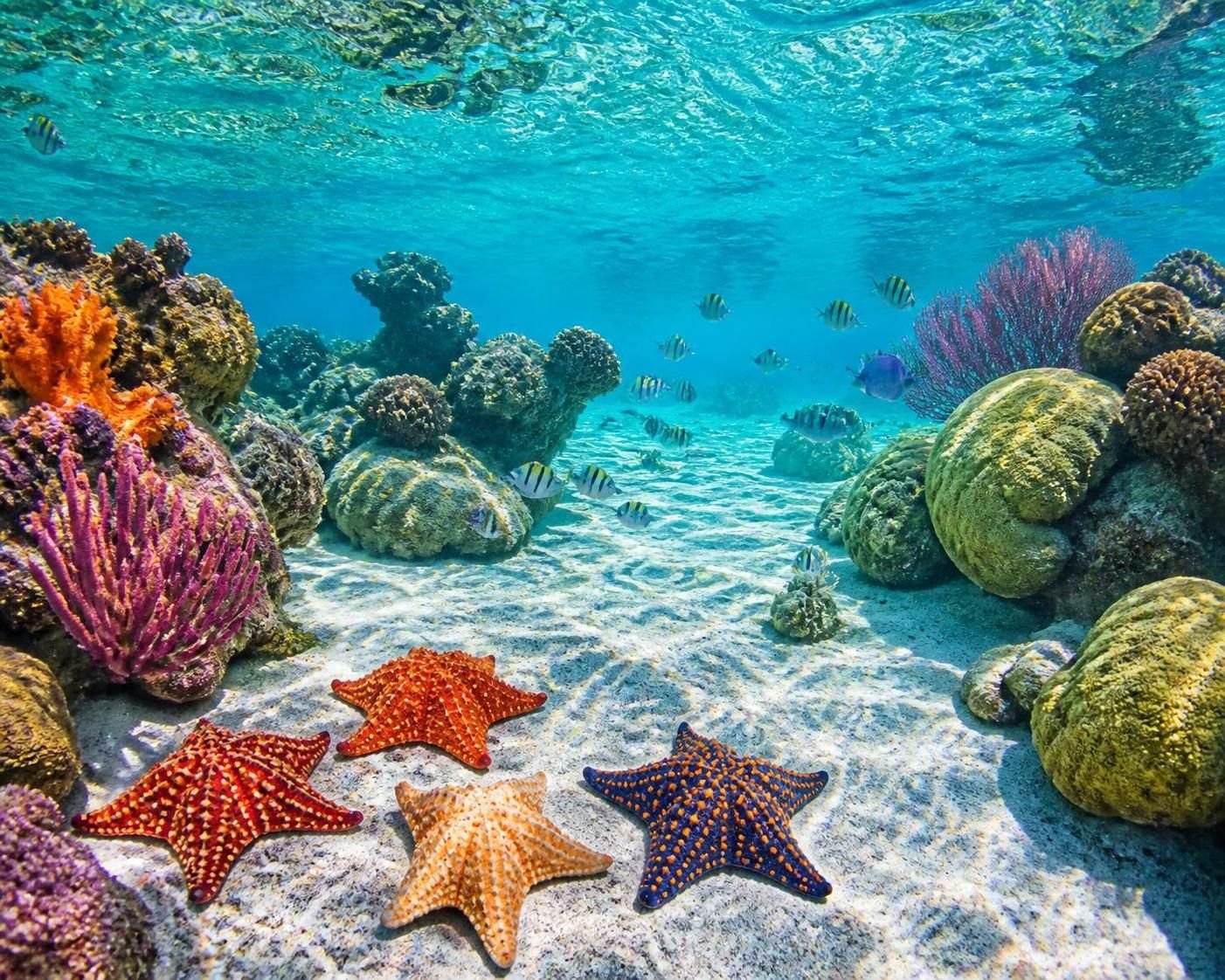 descubra el cielo cozumel, um paraíso natural com águas cristalinas e paisagens impressionantes. uma experiência inesquecível para viver absolutamente durante sua visita a cozumel.
