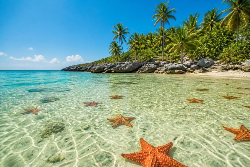 découvrez el cielo cozumel, un paradis naturel aux eaux cristallines et plages de sable blanc, pour une expérience inoubliable à ne pas manquer lors de votre voyage.