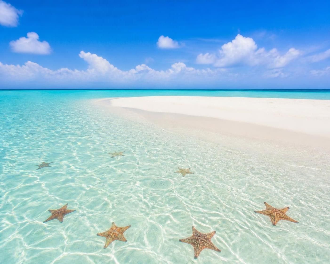 découvrez notre avis complet sur el cielo cozumel : vaut-il vraiment la peine de visiter ce paradis naturel ? tous les conseils et impressions pour préparer votre excursion.