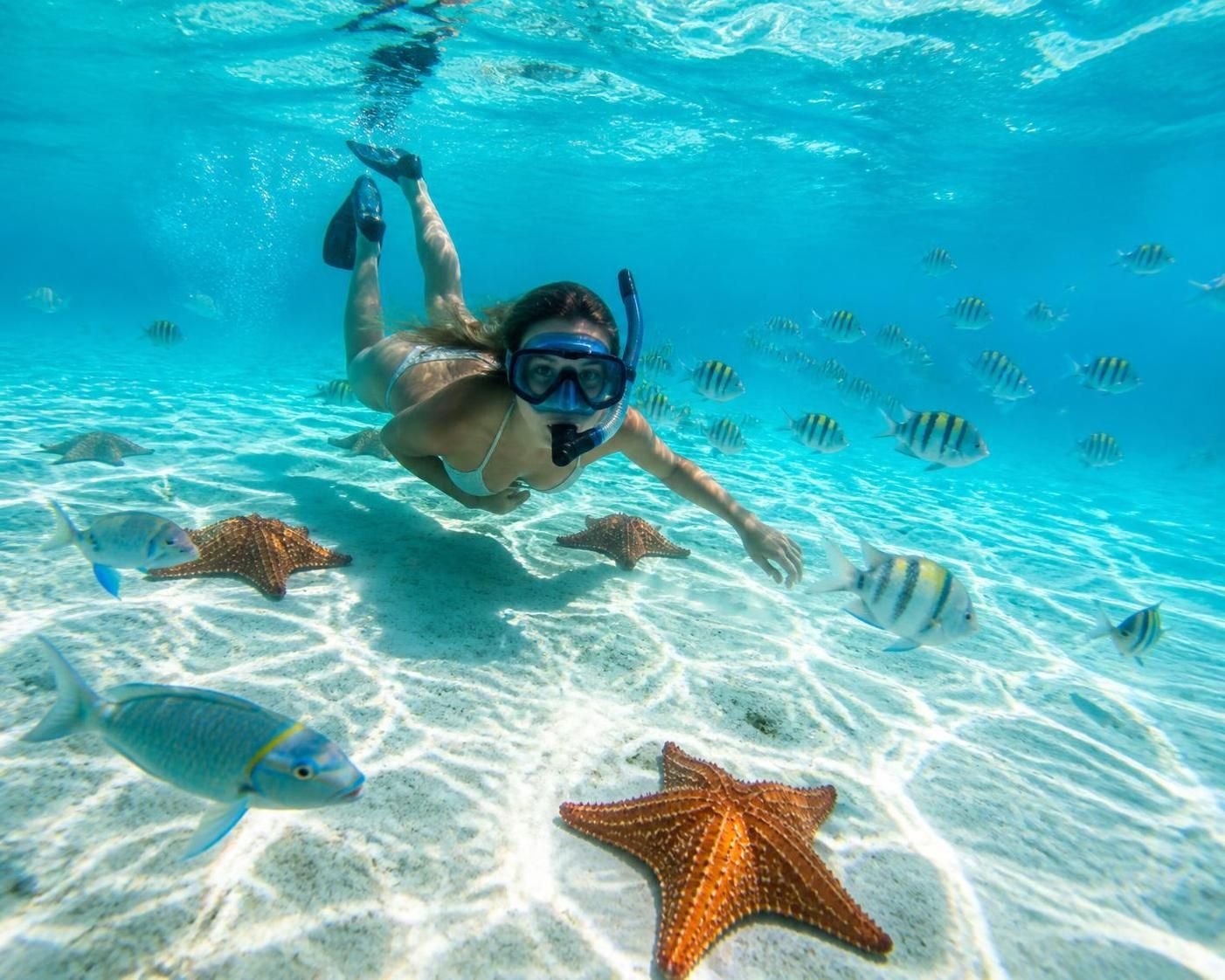 descubra a excursão el cielo em cozumel e viva uma aventura inesquecível entre amigos num cenário paradisíaco, entre águas cristalinas e paisagens tropicais.