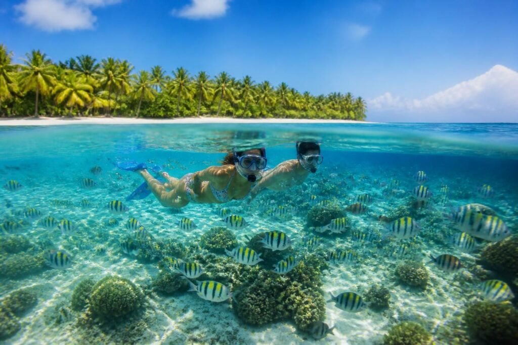 découvrez les meilleures périodes pour pratiquer le snorkeling à cozumel et profiter pleinement de ses eaux cristallines et de sa faune marine exceptionnelle.