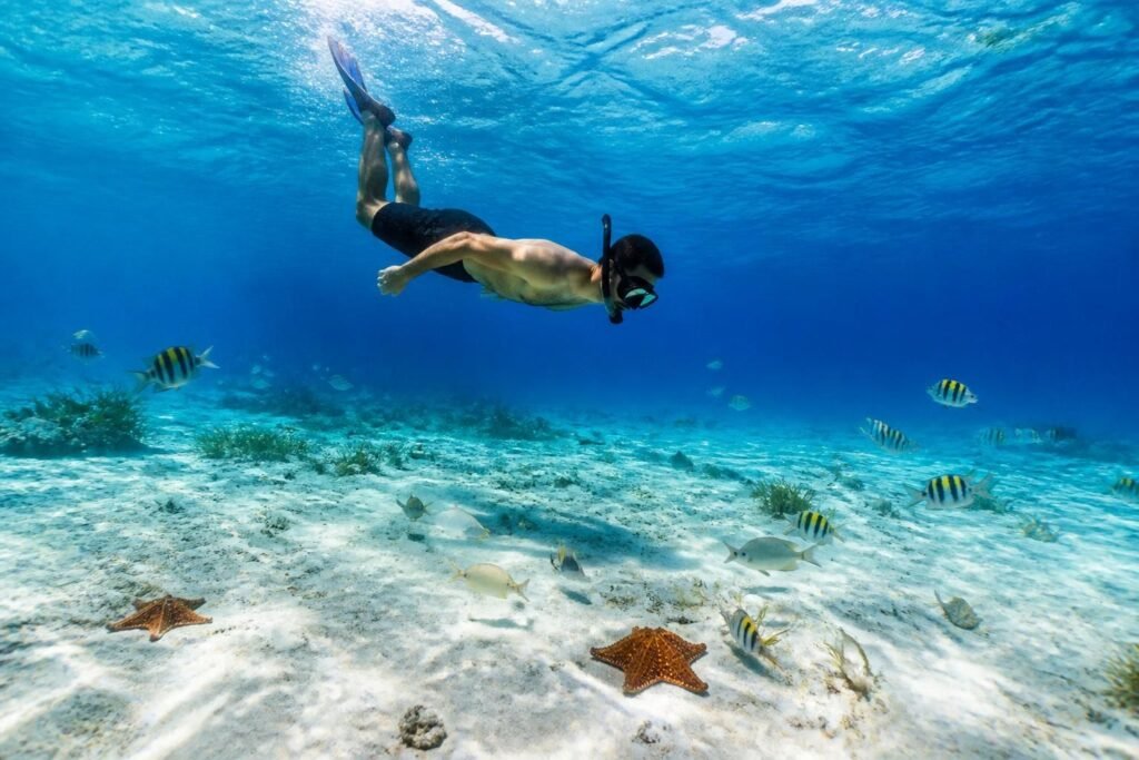 découvrez quel niveau de natation est nécessaire pour explorer el cielo à cozumel, un site paradisiaque idéal pour les amateurs de snorkeling et de plongée.