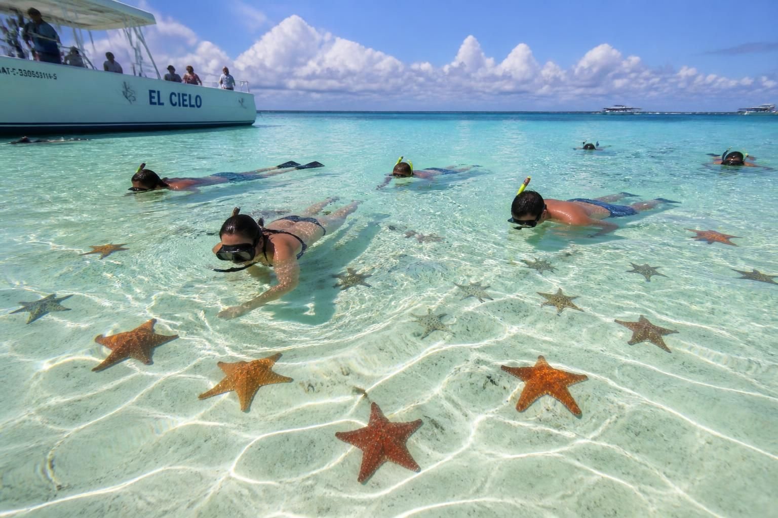découvrez comment garantir votre sécurité à el cielo cozumel et profitez pleinement de ce paradisiaque havre naturel en toute sérénité.