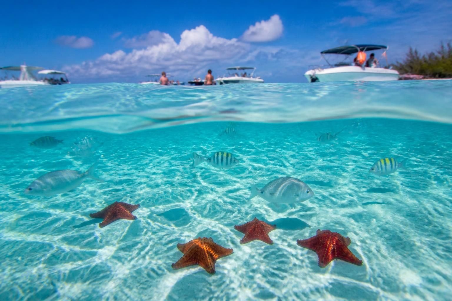 descubra o depoimento de um cliente satisfeito que compartilha sua experiência única durante uma excursão inesquecível em cozumel. mergulhe em aventuras autênticas no coração desta ilha paradisíaca.
